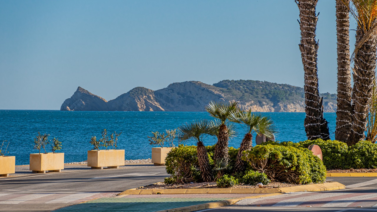 Discover the Area